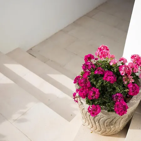Apartamento Gama 1 Habitacion * Cala Galdana (Menorca)